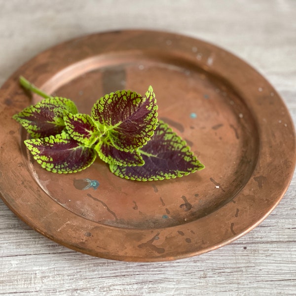 Vintage Copper Plate Tray - Plain Verdigris Patina Small 8.75 Inches