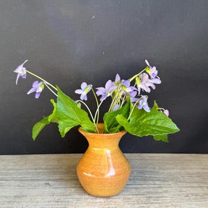 May include: A small, orange ceramic vase holds a bouquet of purple and white violets with green leaves. The vase has a rounded body and a narrow neck. The background is a dark gray color, and the vase sits on a wooden surface.