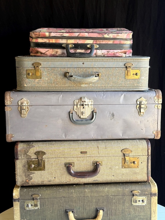 Vintage Suitcase Hartmann Brass Buckle Houndstooth Luggage
