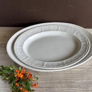 Antique Ironstone Platter: Clemenston China &quot;Columbia&quot; Pattern, 15.5 Inch, c1870s