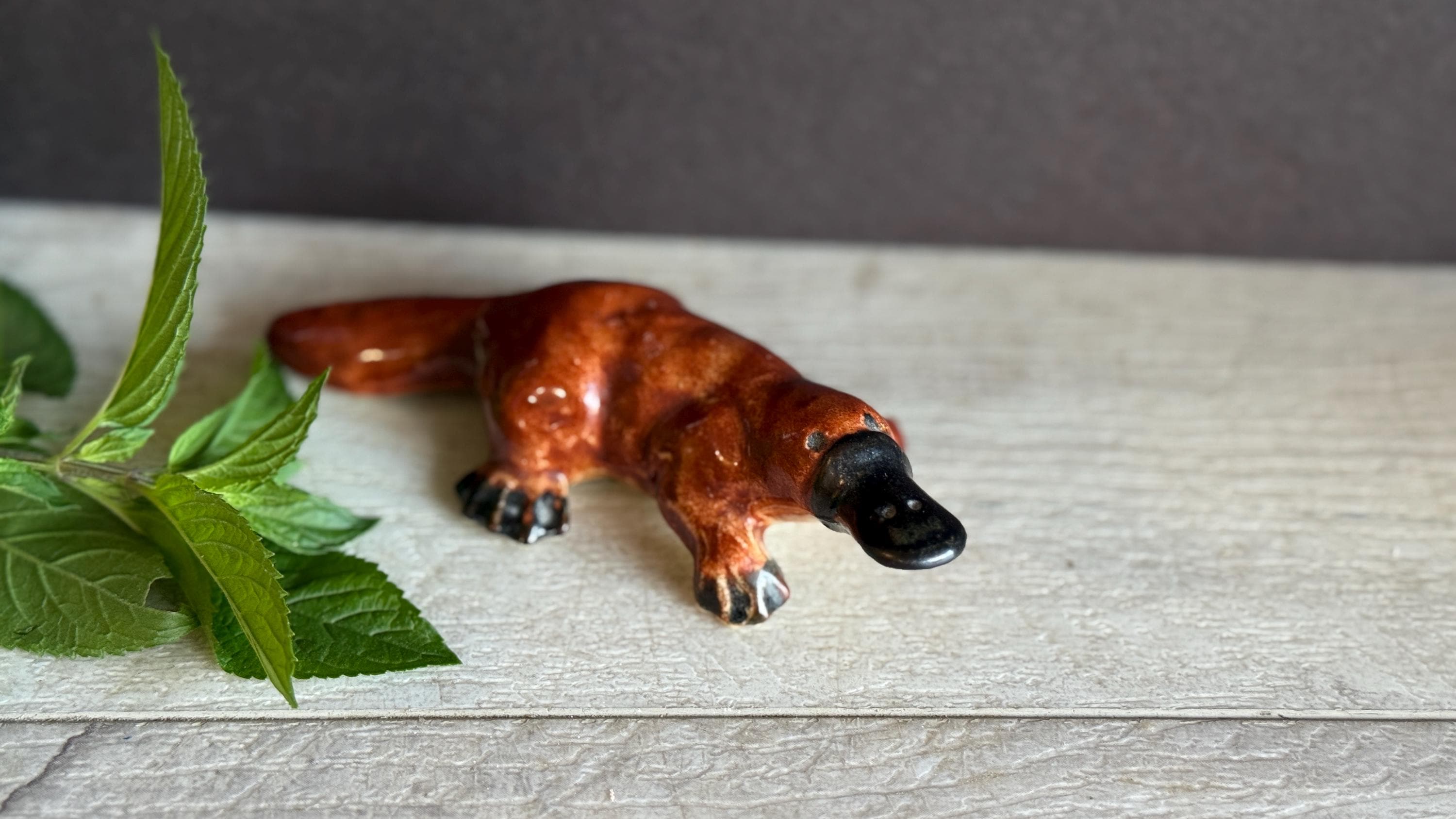 Vintage Darbyshire Platypus - as Found - Rescued by Naturalist - Etsy