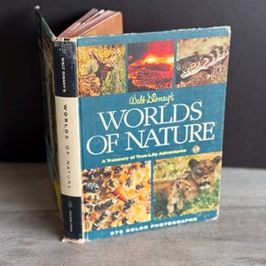 Vintage Walt Disney Worlds of Nature Book - Hardcover 1968 Rutherford Platt Plants Animals Bugs
