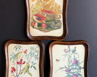 Vintage Nature Notes From Edwardian Lady - Choice 3 Faux Walnut Curvy Framed Botanical Thistle, Mushroom, Goldfinch - Choice or All