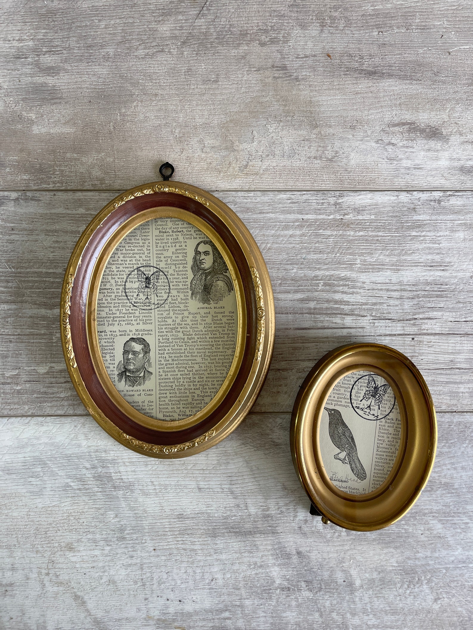 Vintage Oval Picture Frames: Brass & Sirocco Plastic, Made in Italy - Etsy