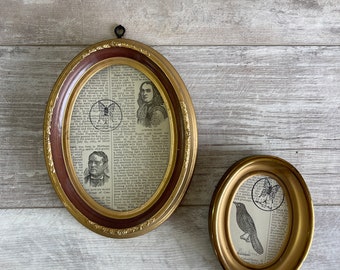 Vintage Oval Picture Frames: Brass & Sirocco Plastic, Made in Italy