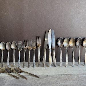 Vintage  &quot;Brittany Rose&quot; Silverware Flatware Pattern - 22 pieces Lot Silver plated WM. A. Rogers