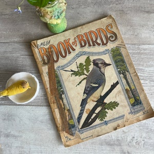 Antique Children&#39;s Book - My Book of Birds - Victorian Colorful Ornithology