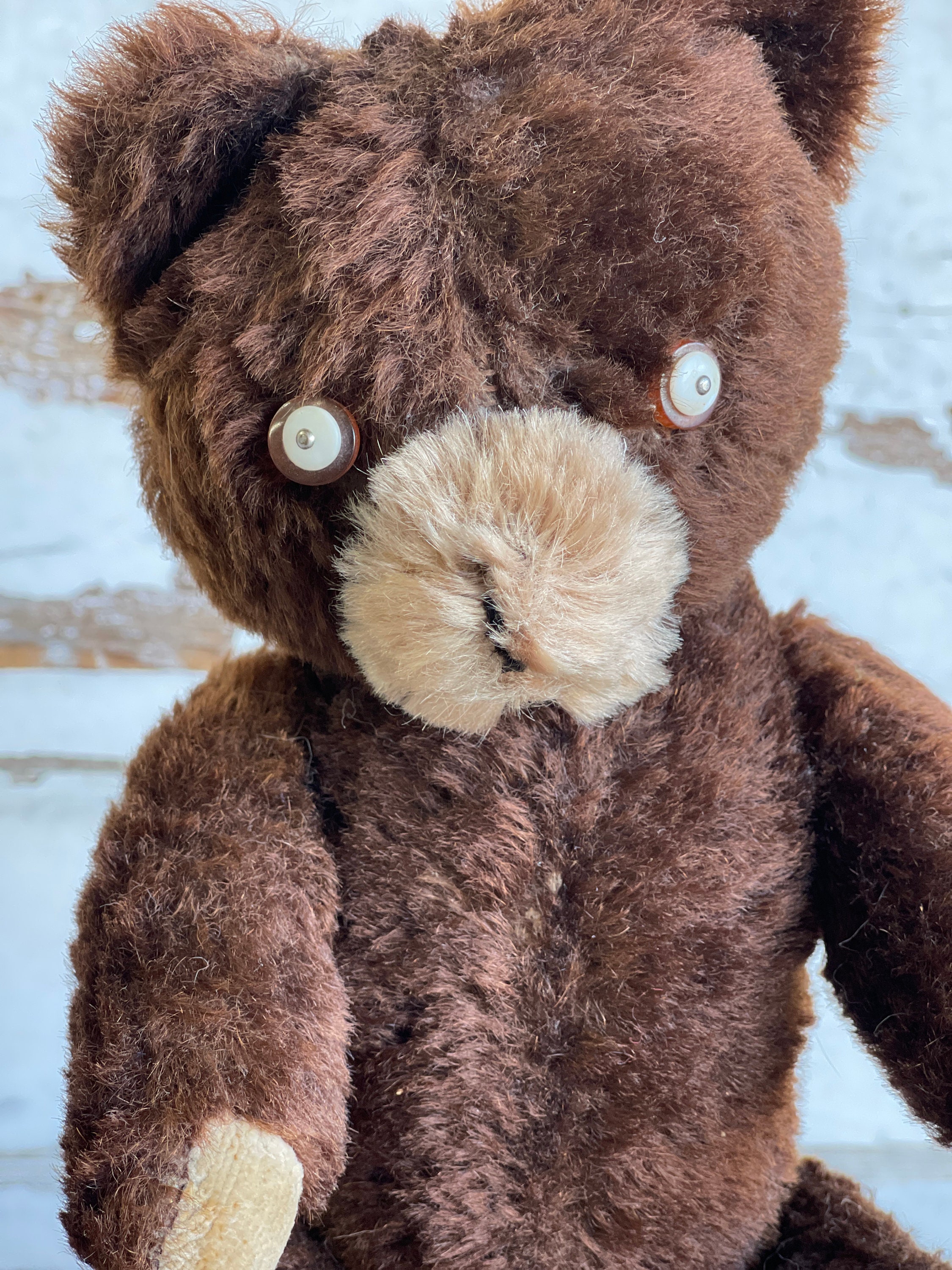 1930 アンティーク　Knickerbocker テディベア 1930 アンティーク Knickerbocker テディベア - メルカリ