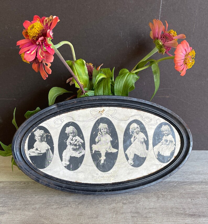 May include: A black oval tin with a white background and five images of a young girl in different poses. The text "Hearing & The Five Senses" is printed on the tin.