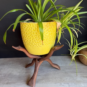 May include: A bright yellow ceramic planter with a floral pattern holds a green spider plant. The planter sits on a dark brown, three-legged wooden plant stand. The plant has long, green and white striped leaves.