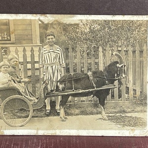 May include: A black and white photo of three children and a goat pulling a cart. The children are standing in front of a white picket fence. The goat is pulling a cart with two children sitting in it. The child in the front of the cart is wearing a white shirt and the child in the back is wearing a dark dress. The child standing in the back is wearing a striped dress.