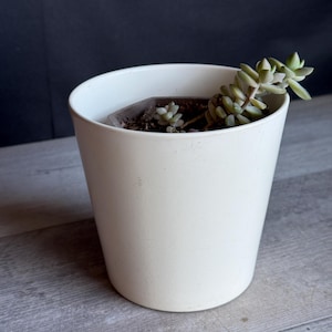 Vintage Flower Pot -Matte White Planter Ceramic -Made in Germany