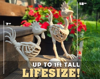3D Printed Chicken Skeleton