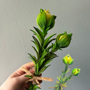 Handmade Botanical Fan art inspired by ,LoZ Hyrule,Herb Replica ,Zelda Cosplay Prop Gamer Gift