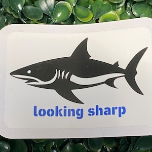 May include: White sticker with a black silhouette of a shark and the text "looking sharp" in blue.