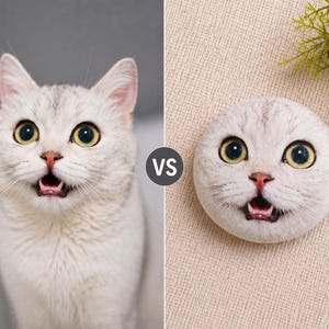 Puede incluir: Imagen comparativa que muestra un gato plateado real y una cara de gato pintada en una piedra. El gato tiene grandes ojos amarillos, una nariz rosada y la boca abierta. La cara de gato de piedra es redonda y est&aacute; pintada con detalles similares.
