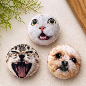 Puede incluir: Tres piedras decorativas redondas con caras de animales. Una piedra presenta un gato blanco con la boca abierta, otra un gato atigrado con la boca abierta y la tercera un perro peque&ntilde;o con pelaje marr&oacute;n y blanco.