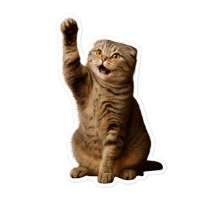 Divertente adesivo con gatto Scottish Fold – Meme del gatto con la zampa alzata – Simpatico adesivo per laptop, biglietto d'auguri, decalcomania per auto – Adorabile regalo con gatto con le orecchie piegate