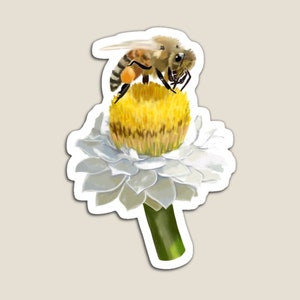 May include: A bee with brown and yellow stripes sits on a white flower with a yellow center. The flower has a green stem.