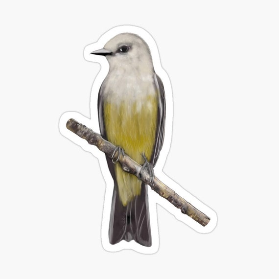 Bird Sticker Pack 12pc / Bird Stickers / Nature Stickers / Bird Sticker  Pack / Planner Stickers / Laptop and iPad Stickers / Decals 