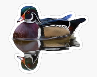 Wood Duck Sticker, Glossy Vinyl Decal (Two Sizes)