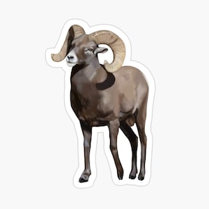 Ram Goat Sticker Small 2.8x4 Inch or  Large 3.8x5.5 inch Multi Pack Discount