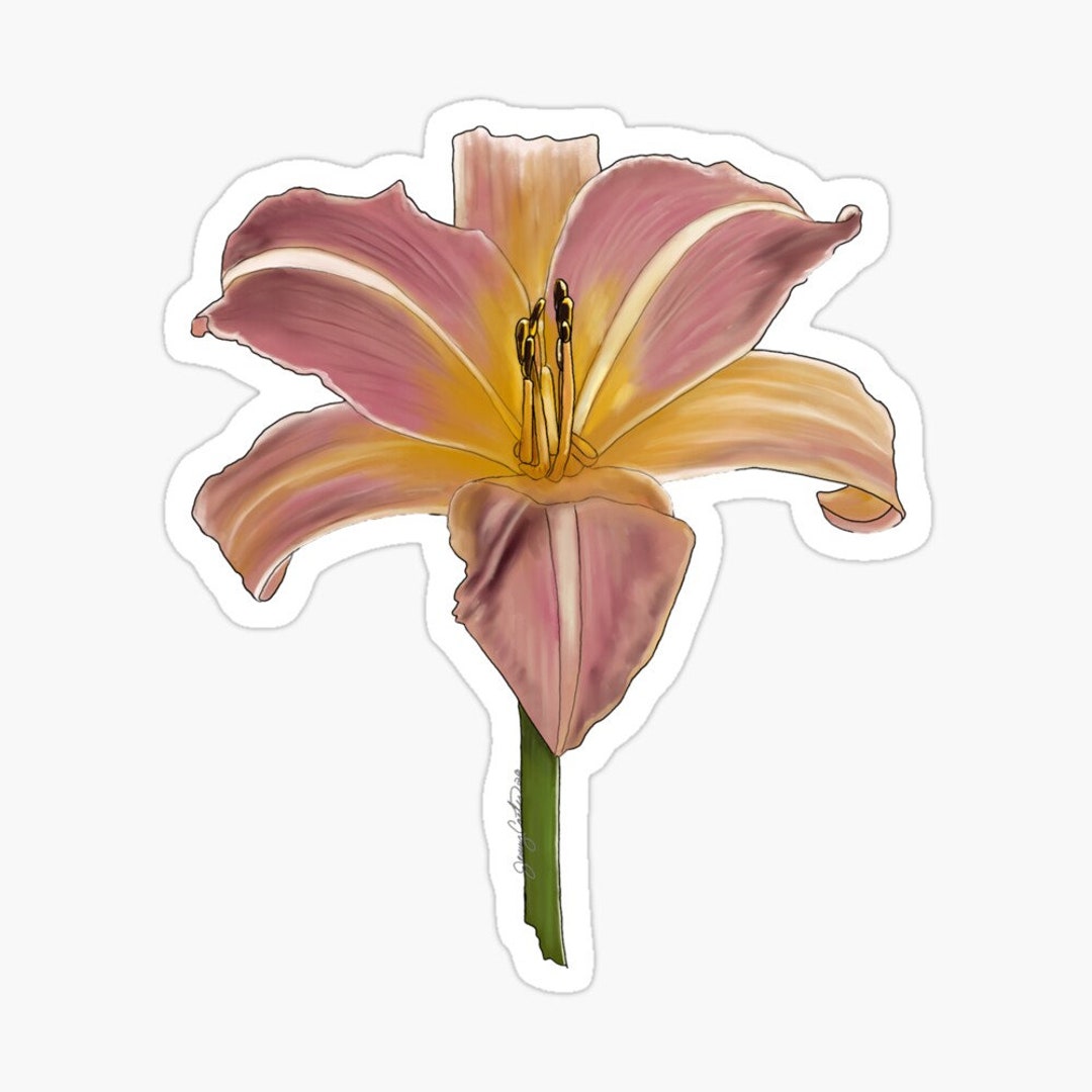lily♡ IMG_6248.jpg?v=1625806854&