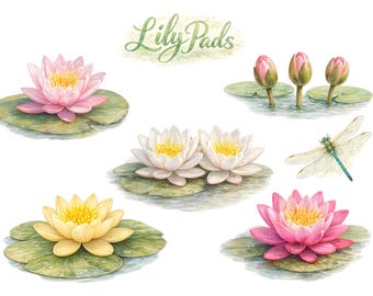 Water Lily Lotus Flower Clipart Set – 5  Lily Pads PNG | Transparent Botanical Graphics | Digital Download
