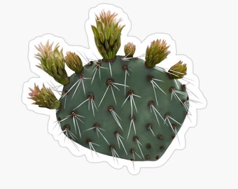Prickly Pear Cactus Sticker: Durable, Water-Resistant Vinyl