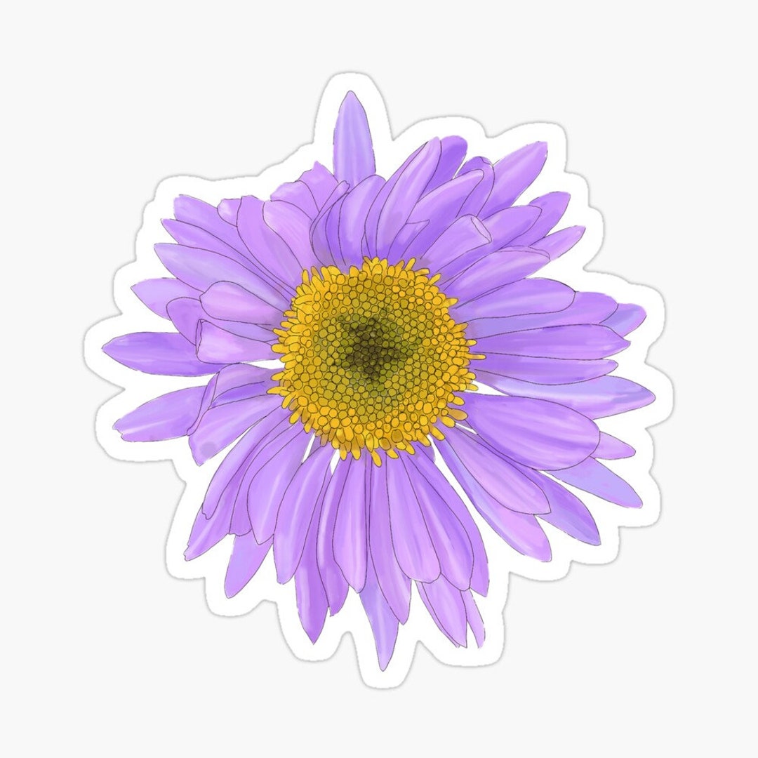 Alpine Daisy Sticker Small 3x3.2 Inch or Large 5.2x5.5 Inch Artwork ...