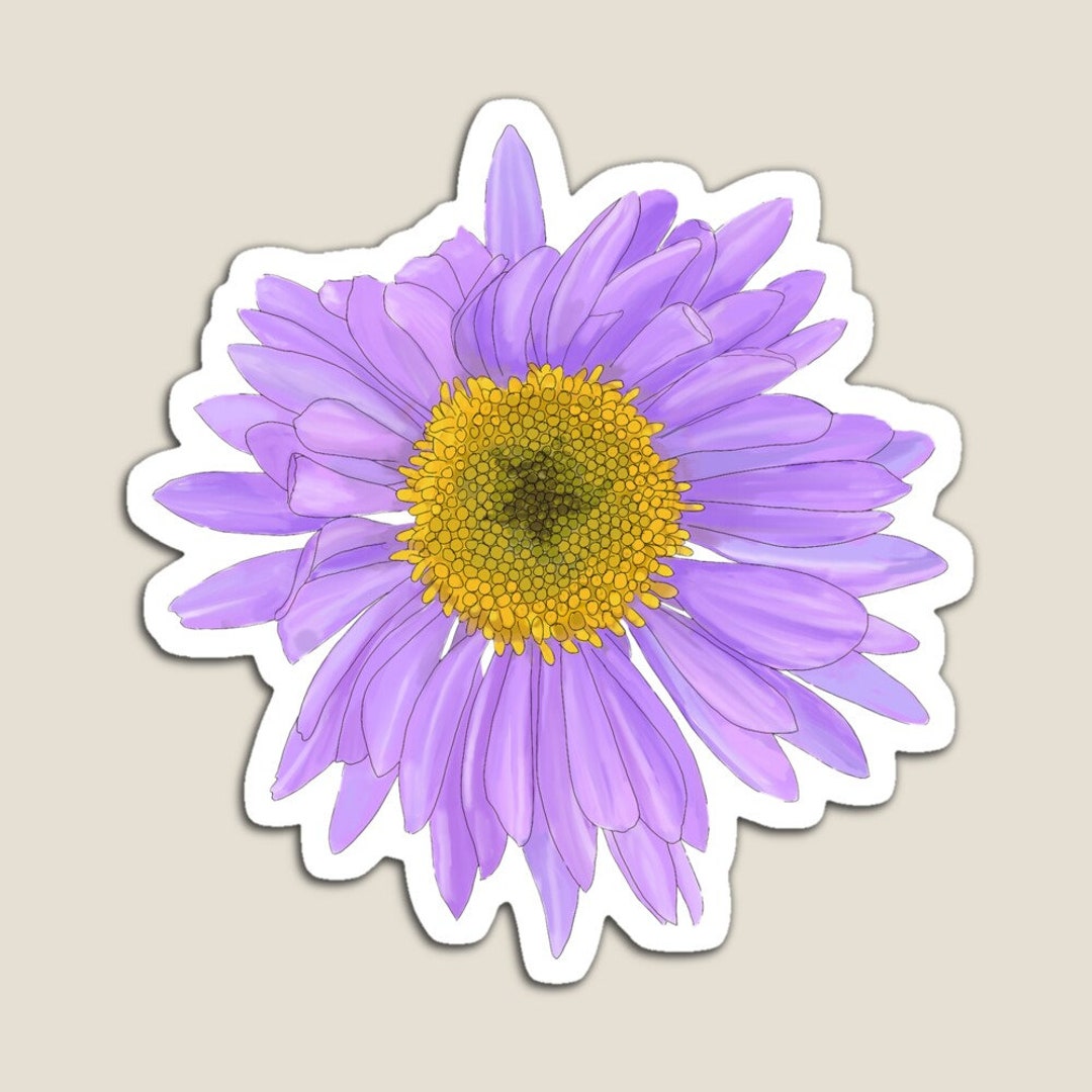 Alpine Daisy Flower Magnet - Etsy