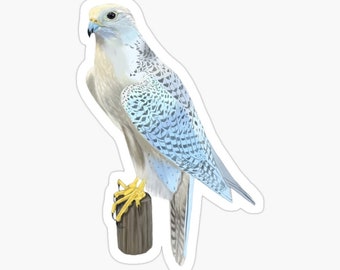 Gyrfalcon Sticker: Glossy Vinyl Falcon sticker