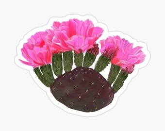 Pink Prickly Pear Cactus Flower Sticker: Durable Vinyl sticker
