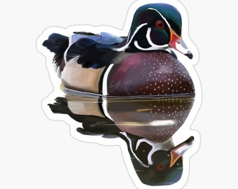 Wood Duck Sticker: Glossy Water-Resistant Artwork