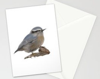 Nuthatch Bird Painting Printed Card