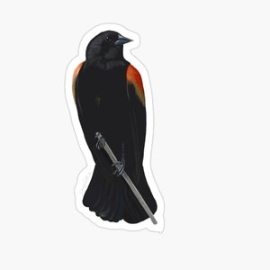 Redwing Blackbird Painting Sticker  Two Sizes small 3-3.8 or large 5-6 inches multipack discount