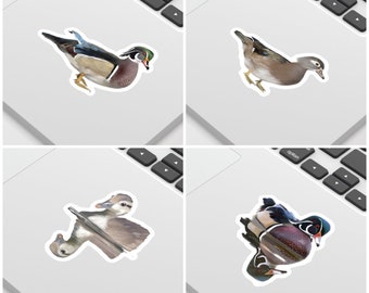 Wood Duck Stickers 3-3.5 Inch Set of 4