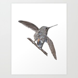 Hummingbird Tale Off Print of Sketchbook Painting