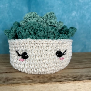 Crochet Succulent Coaster Set for Home decor