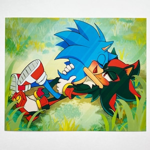 May include: A colorful illustration featuring Sonic the Hedgehog and Shadow the Hedgehog embracing in a grassy field. Sonic is blue with red and white shoes, while Shadow is black and red. The artwork has a cartoon style.