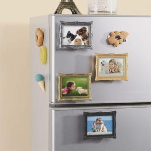 May include: A selection of decorative fridge magnets, including framed pictures and food-shaped designs. The framed magnets feature photographs of pets and people. The frames are in silver, gold, and black.