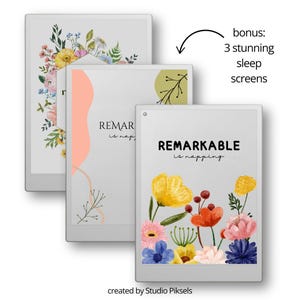 Starter Bundle for reMarkable Paper Pro