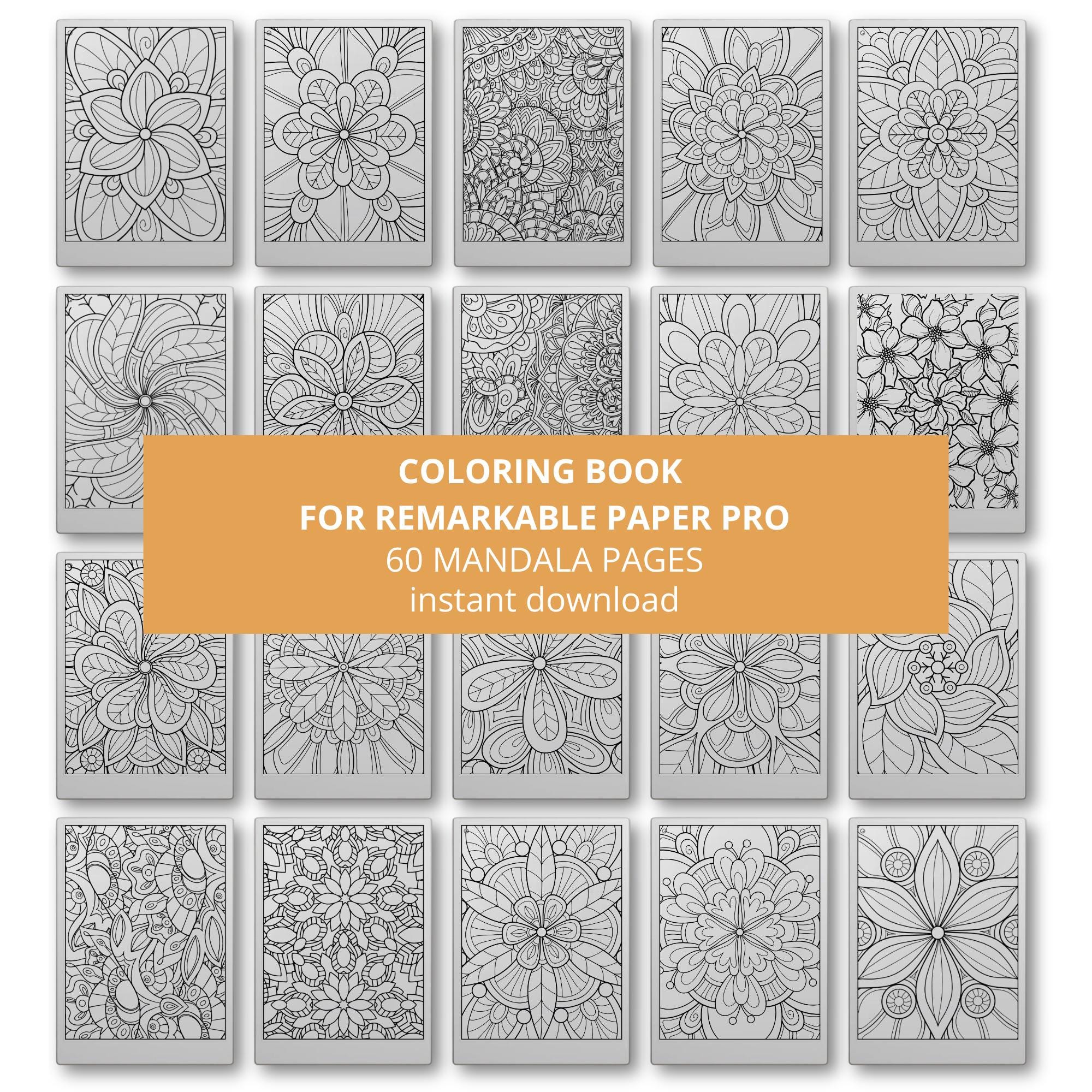 Mindful Mandala Coloring Book for reMarkable Paper Pro – 60 Color eInk Designs for Adults
