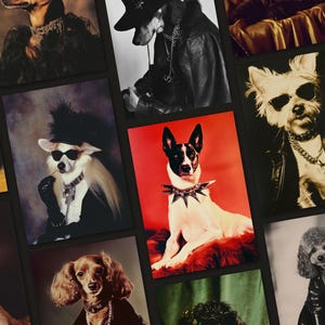 May include: A collage of nine images featuring dogs dressed in various outfits. The dogs are wearing hats, sunglasses, jackets, and other accessories. Some of the dogs are looking at the camera, while others are looking away. The images are all in a colorful and playful style.