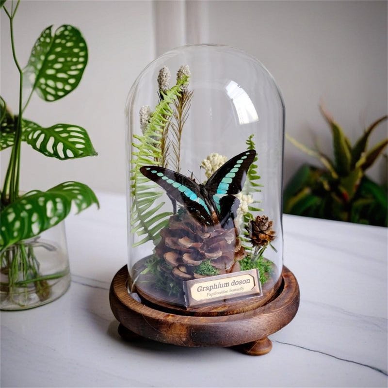 Glass Insects - Etsy