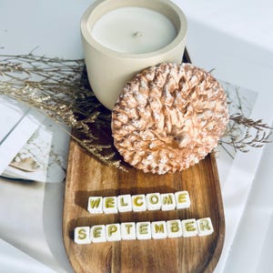 May include: A beige candle in a round concrete container, a decorative pinecone, and the words "WELCOME SEPTEMBER" spelled out on a wooden tray. The candle has a white wax and a single wick. The pinecone is light brown.