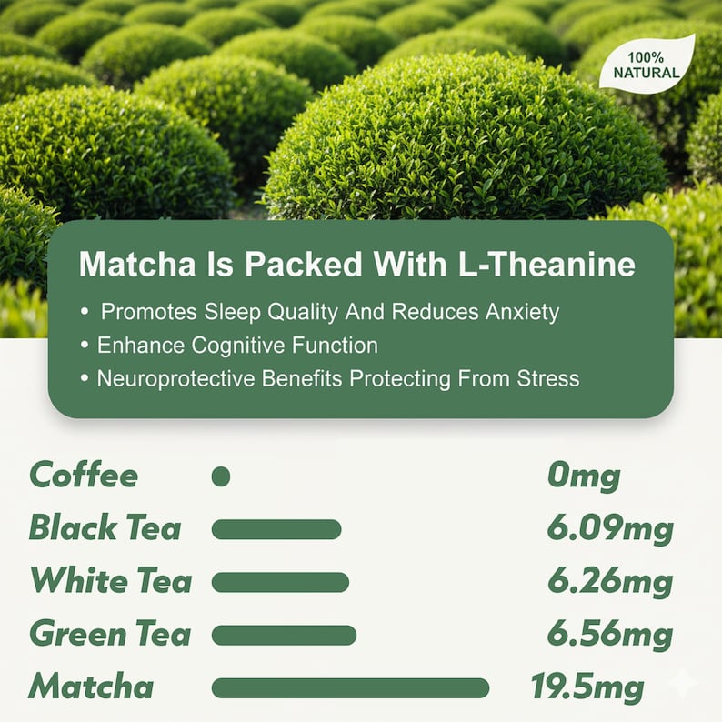 May include: An image promoting matcha tea, with text stating "Matcha Is Packed With L-Theanine" and its benefits. The image also compares the L-Theanine content of matcha to other teas and coffee, with a background of green bushes.