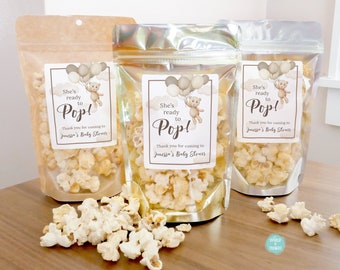 Teddy Bear Baby Shower Favor Bags With Stickers, Popcorn Favor Bags, Stand Up Pouches, We Can Bearly Wait Treat Bags WT005B
