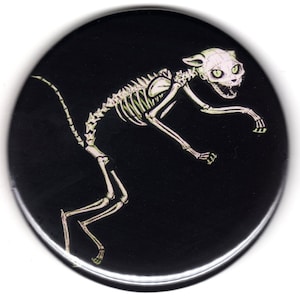 Black Cat Skeleton Magnet 2.25 big Gothic Zombie Kitty
