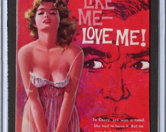 Pulp Paperback Magnet 3 x 4 inch campy cover art mature Don't Like Me - Love Me